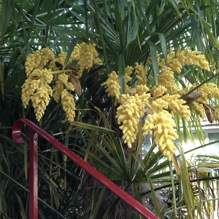 Bed & Breakfast The Panorama