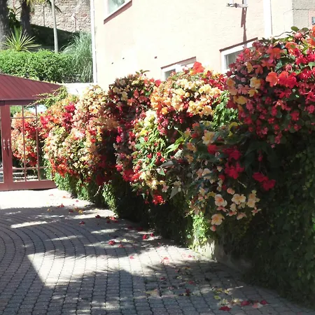 The Panorama לינה וארוחת בוקר St Aubin