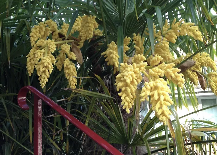 Nocleg ze śniadaniem The Panorama